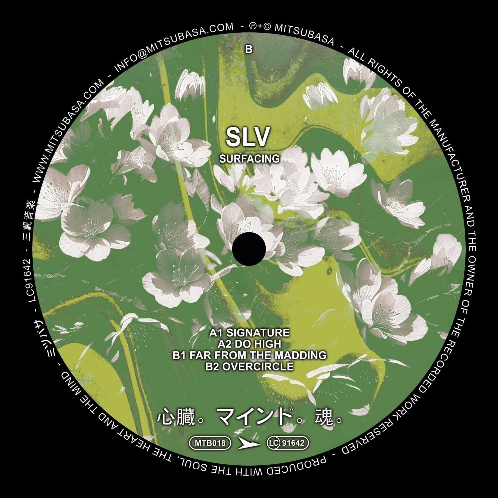 SLV - Surfacing EP (12")