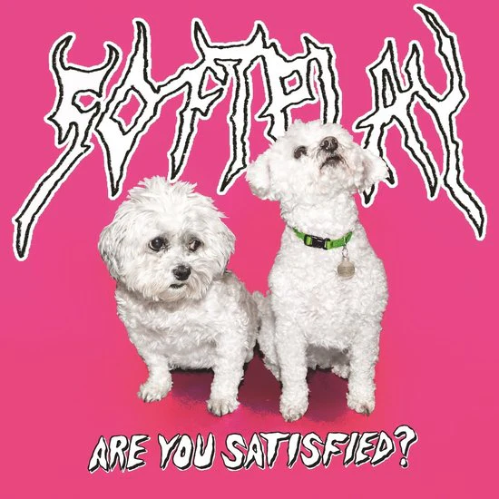 Soft Play - Are You Satisfied? (10th Anniversary Edition) (Coloured Vinyl LP) - Image 2