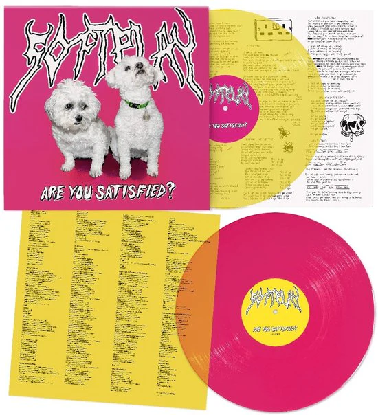 Soft Play - Are You Satisfied? (10th Anniversary Edition) (Coloured Vinyl LP) - Image 3