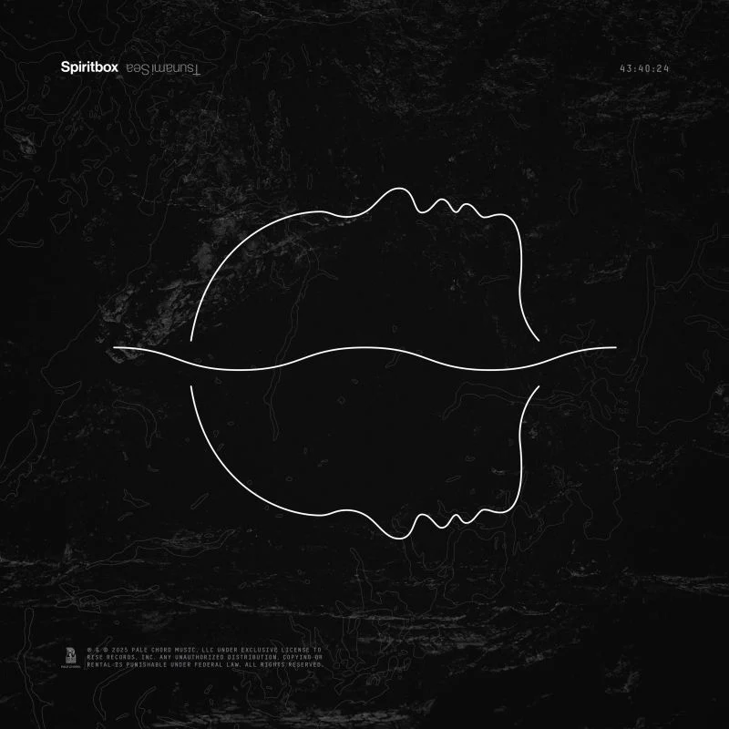 Spiritbox - Tsunami Sea (Black White Grey Coloured LP) - Image 2