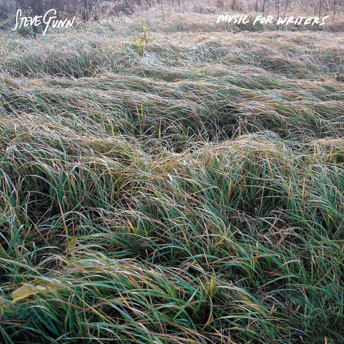 Steve Gunn - Music for Writers (LP) - Image 2