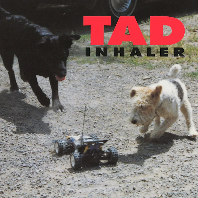 Tad - Inhaler (LP) - Image 4