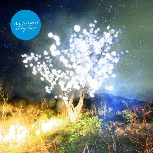 The Notwist - Vertigo Days (LP) - Image 2