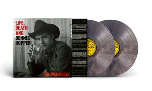 The Waterboys - Life Death & Dennis Hopper (Psychedelic Waves Colored LP)