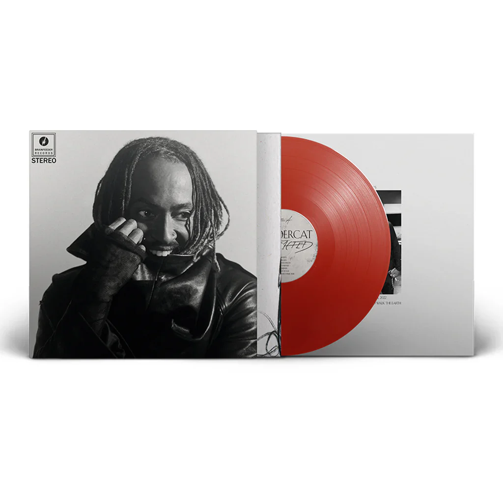 Thundercat - Distracted (Red Vinyl LP) - Image 2
