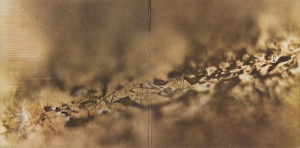 USED - Tangerine Dream - Rubycon - Image 2