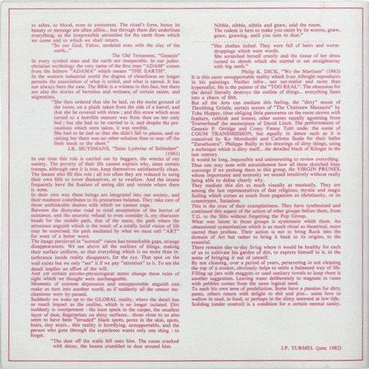 USED - Virgin Prunes - Heresie - Image 16