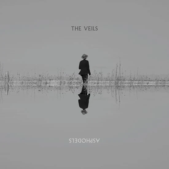Veils - Asphodels (White Coloured LP) - Image 2
