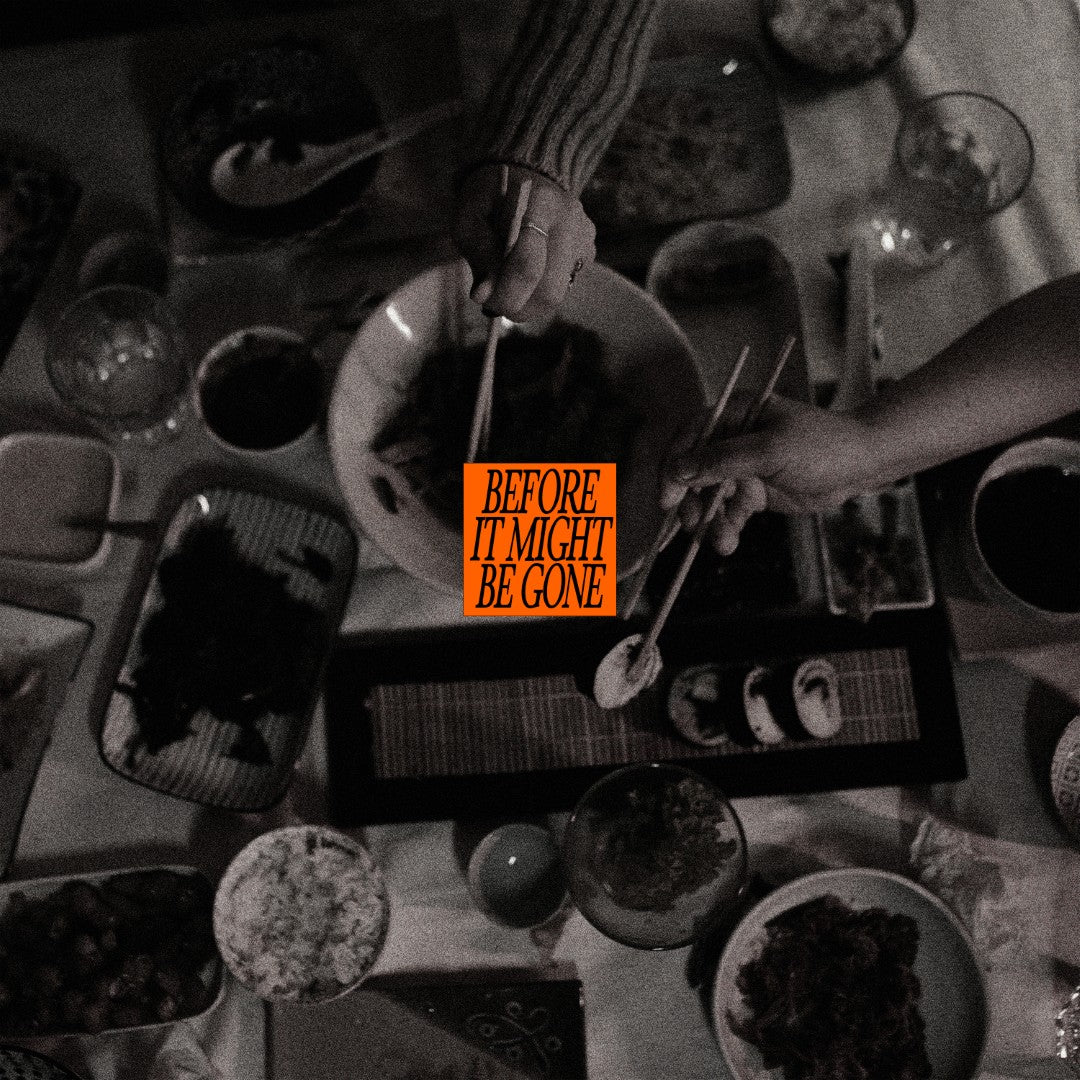 Vices, The - Before It Might Be Gone (Deluxe) (Green Leaves Vinyl 10") - Image 2