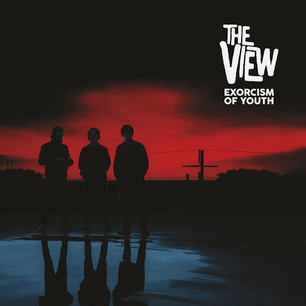 View - Exorcism of Youth (LP) - Image 3