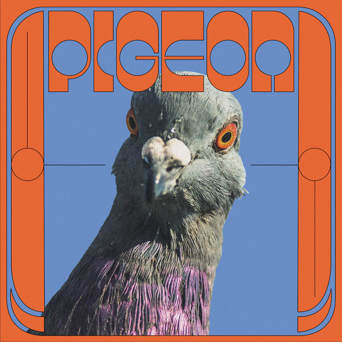 Yagana - Pigeon